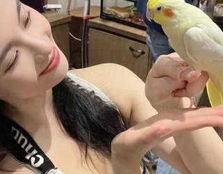 微密圈 – 俏妞qiaoniu66写真新作：原图与绊脚石的精彩碰撞！