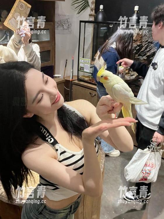 微密圈 - 俏妞qiaoniu66写真新作：原图与绊脚石的精彩碰撞！