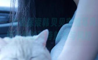 蜜桃社 – 在线探索韩贝贝空姐写真合集，感受她的独特魅力与风格